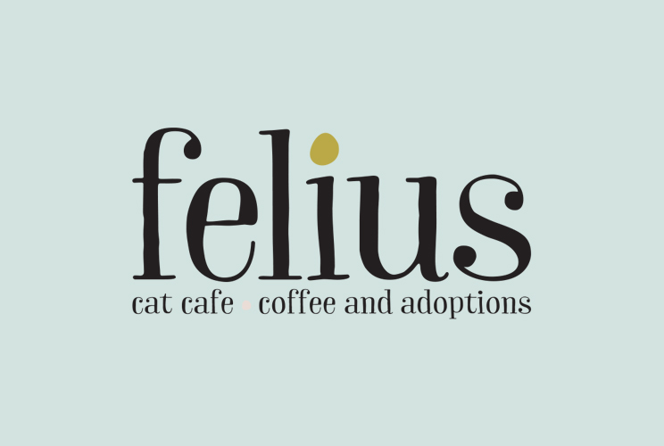 Felius Promotional Video